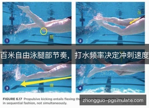 百米自由泳腿部节奏,打水频率决定冲刺速度 百米自由泳腿部节奏,打水频率决定冲刺速度